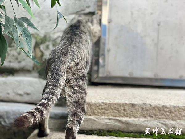 微信图片_20230728162236.jpg