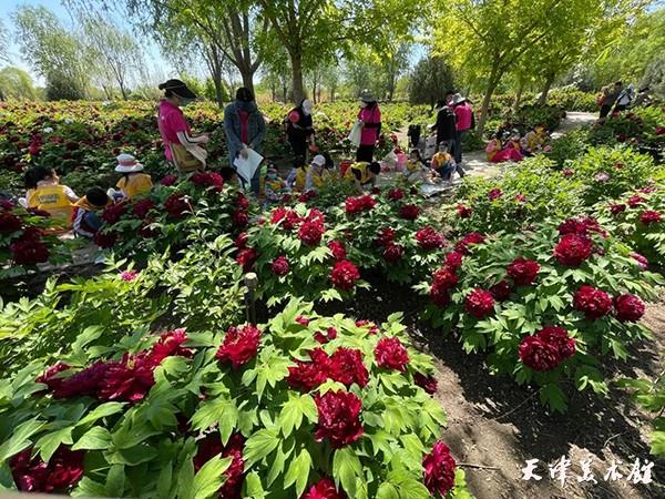 微信图片_20230530113153.jpg